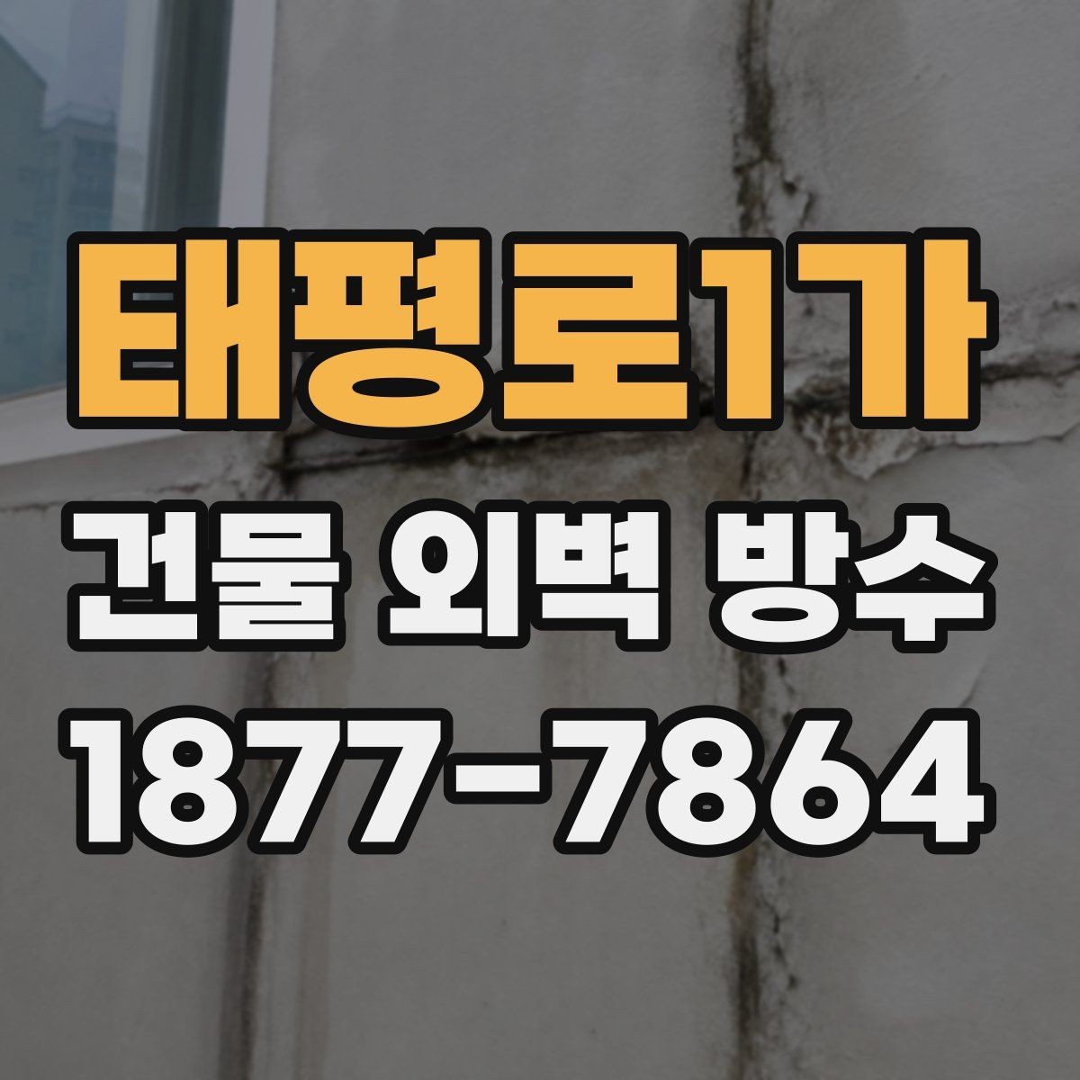 태평로1가 건물 외벽 방수 진단으로 확인하는 손상 범위