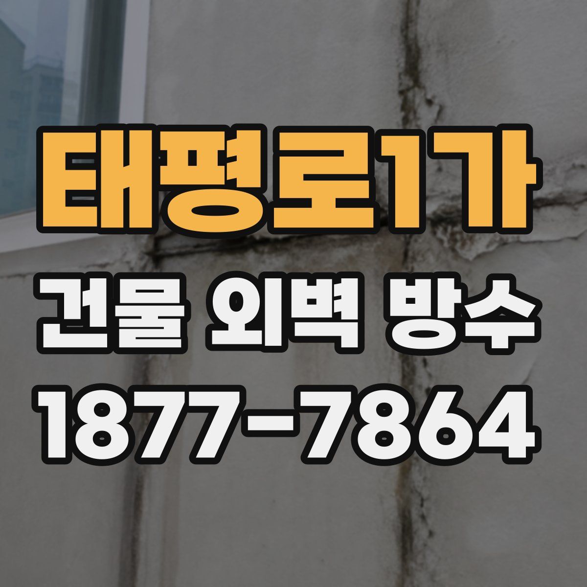 태평로1가 건물 외벽 방수