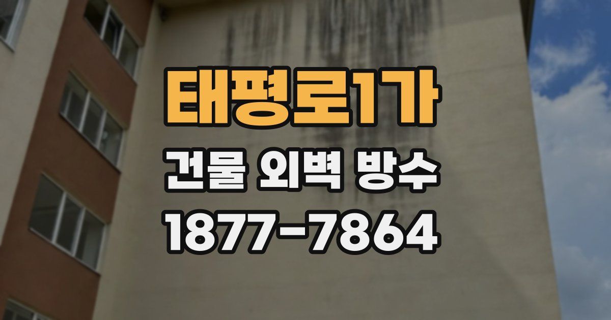 태평로1가 건물 외벽 방수