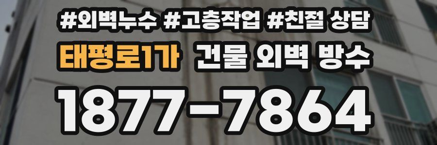 태평로1가 건물 외벽 방수