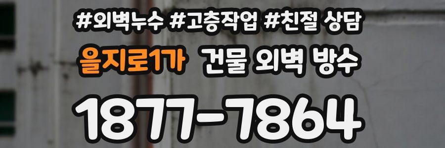 을지로1가 건물 외벽 방수