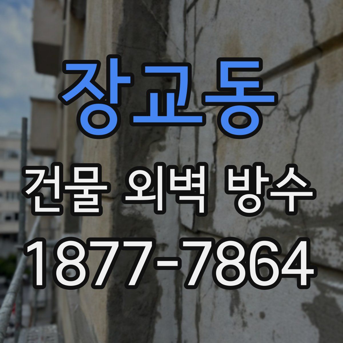 장교동 건물 외벽 방수