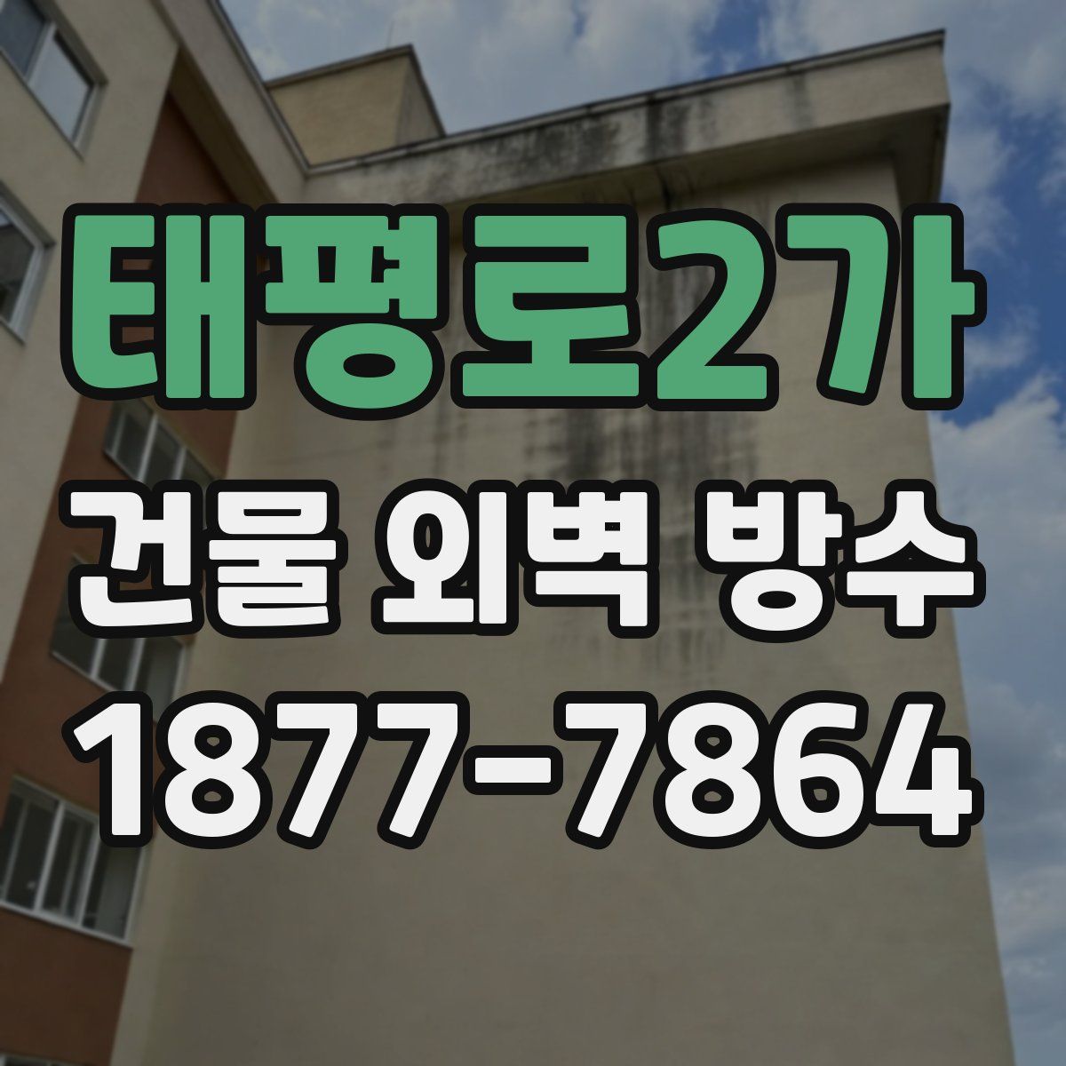 태평로2가 건물 외벽 방수