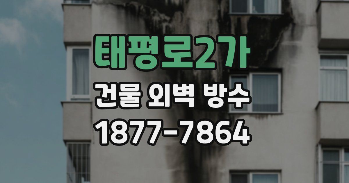 태평로2가 건물 외벽 방수