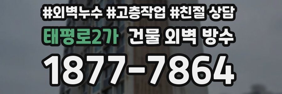태평로2가 건물 외벽 방수