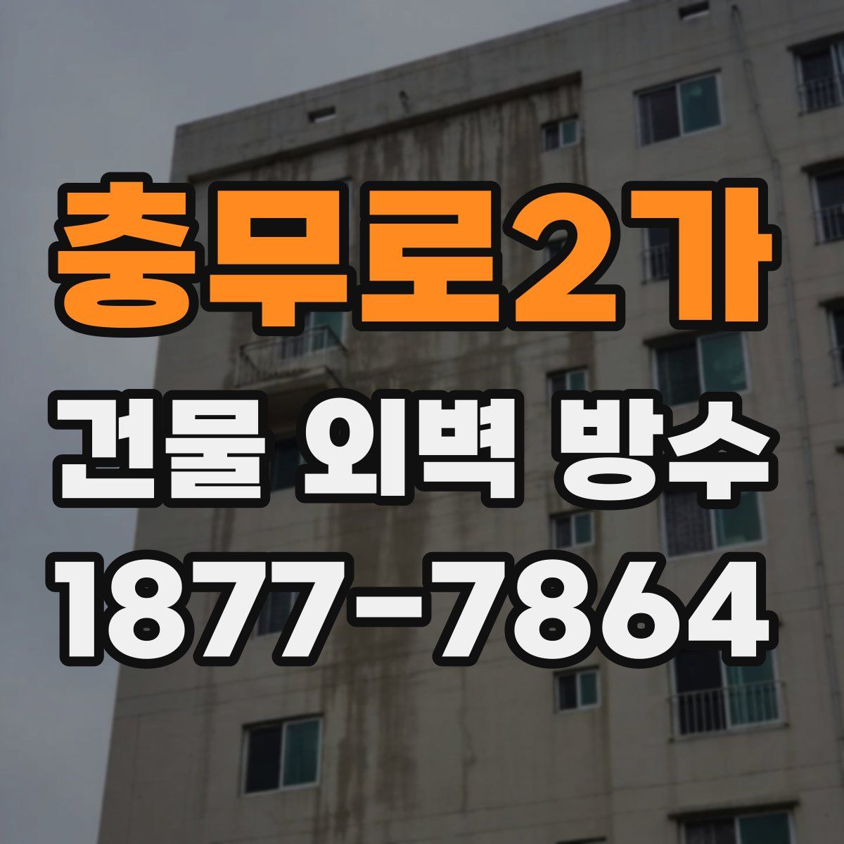 충무로2가 건물 외벽 방수