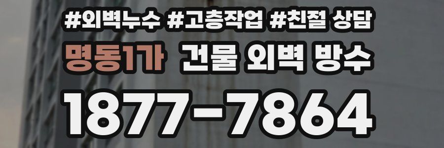명동1가 건물 외벽 방수