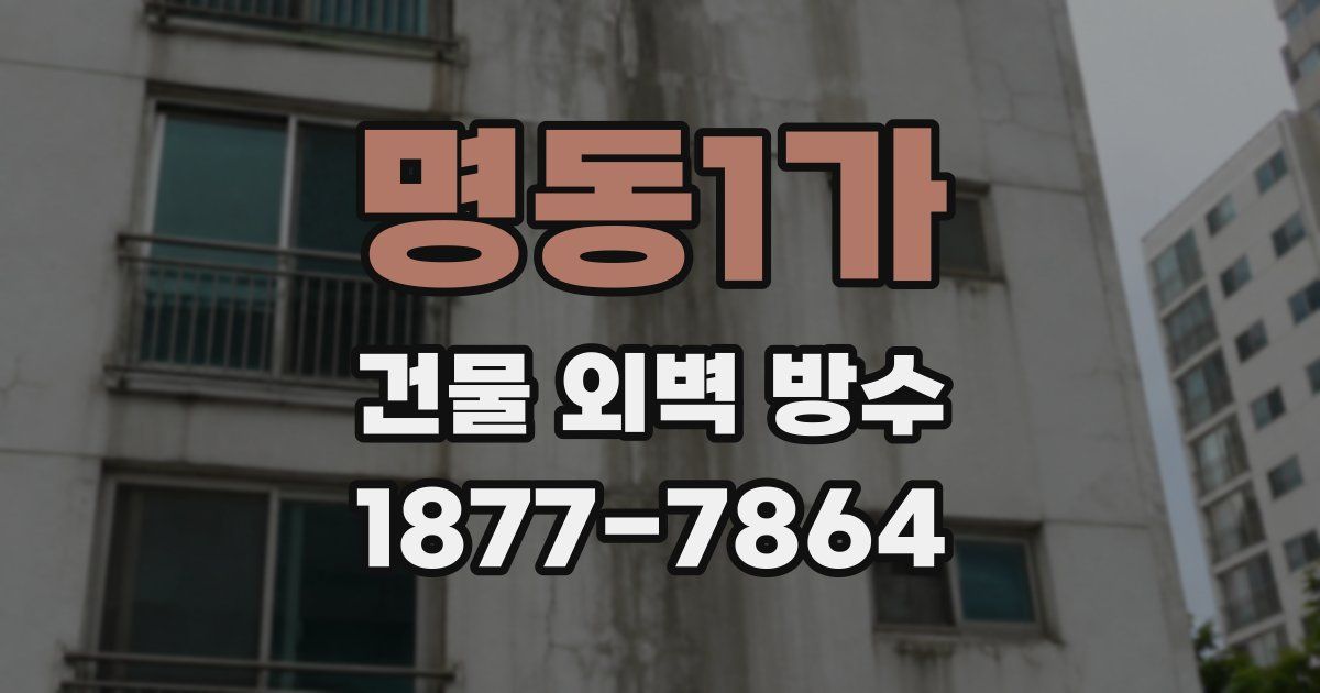 명동1가 건물 외벽 방수