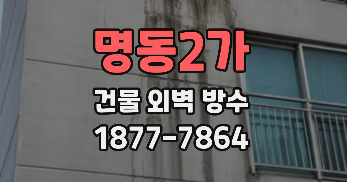 명동2가 건물 외벽 방수