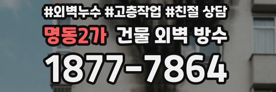 명동2가 건물 외벽 방수