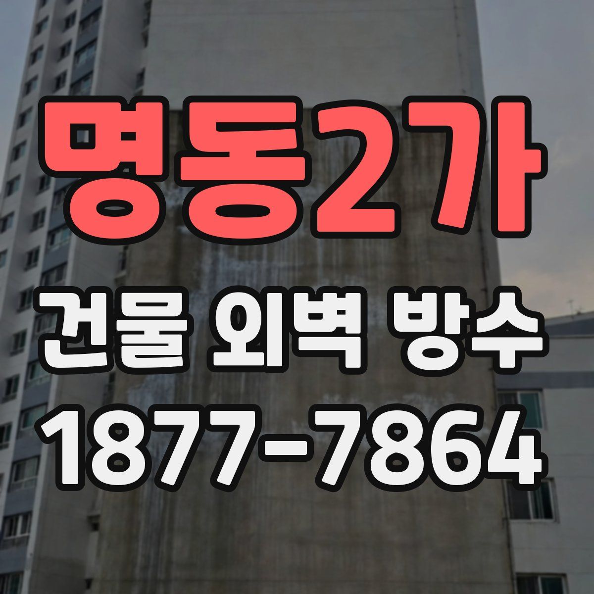 명동2가 건물 외벽 방수