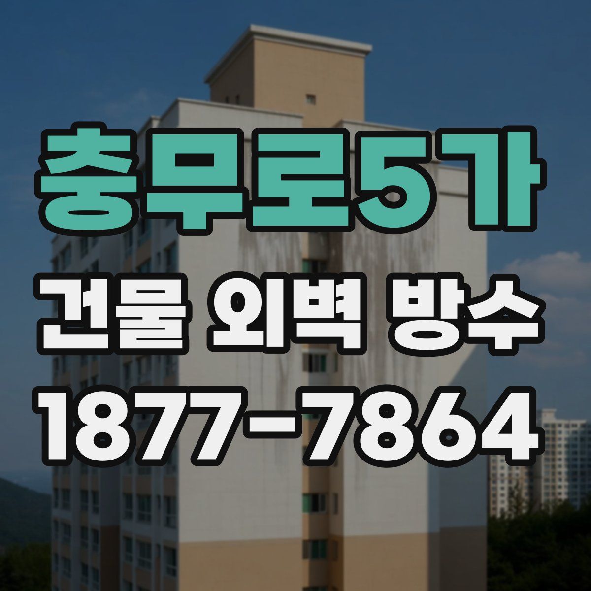 충무로5가 건물 외벽 방수