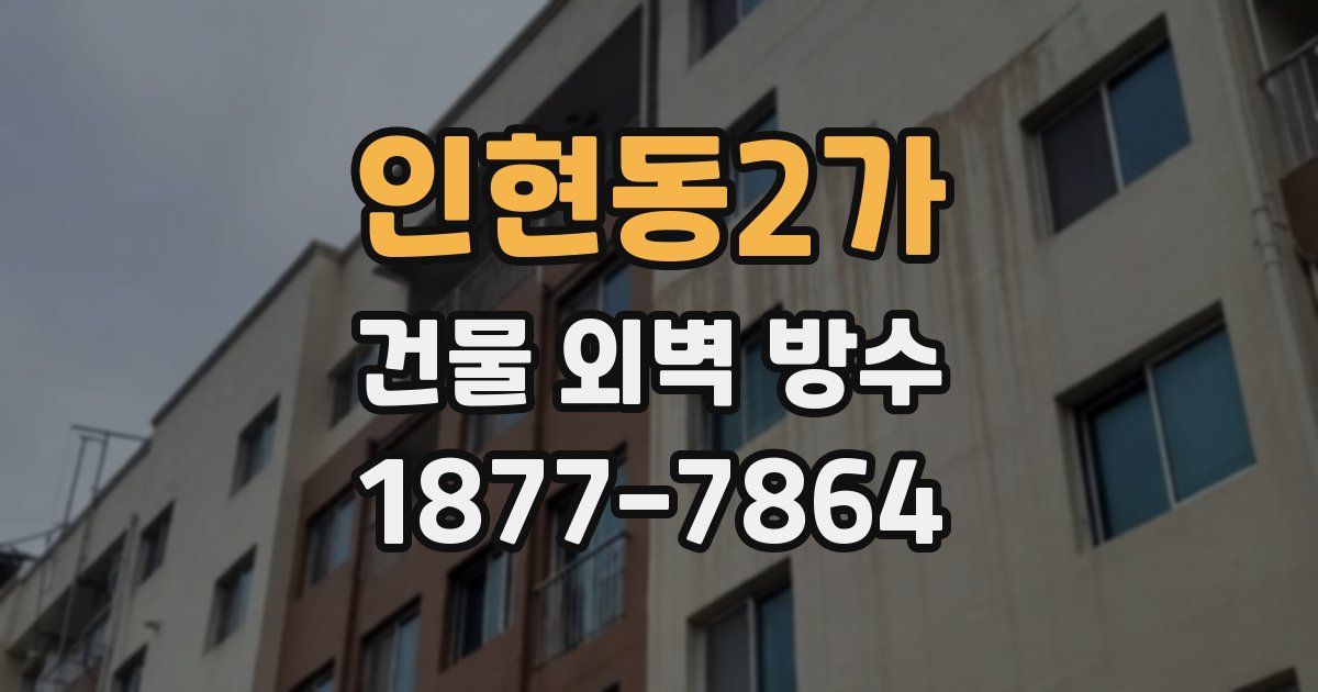 인현동2가 건물 외벽 방수