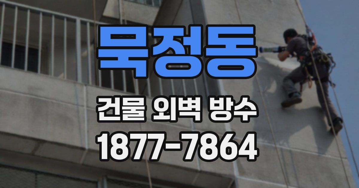 묵정동 건물 외벽 방수