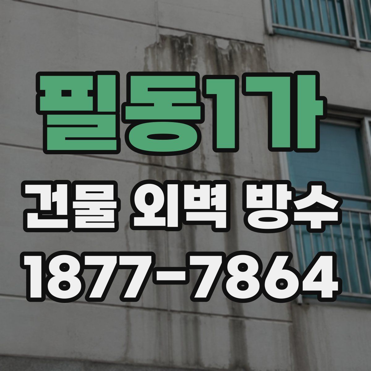 필동1가 건물 외벽 방수