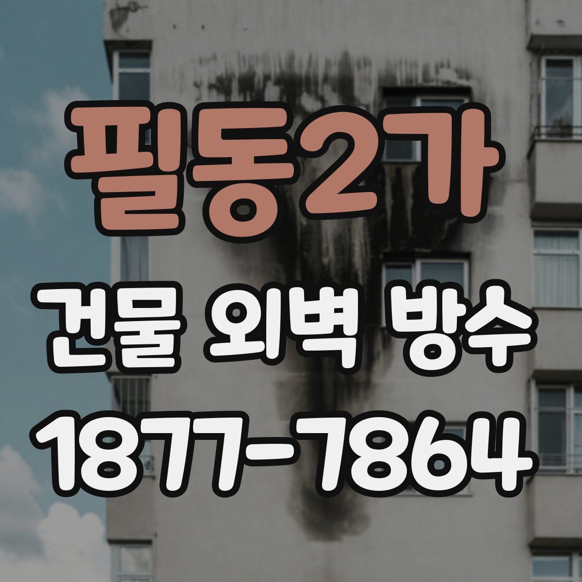 필동2가 건물 외벽 방수
