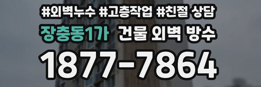 장충동1가 건물 외벽 방수