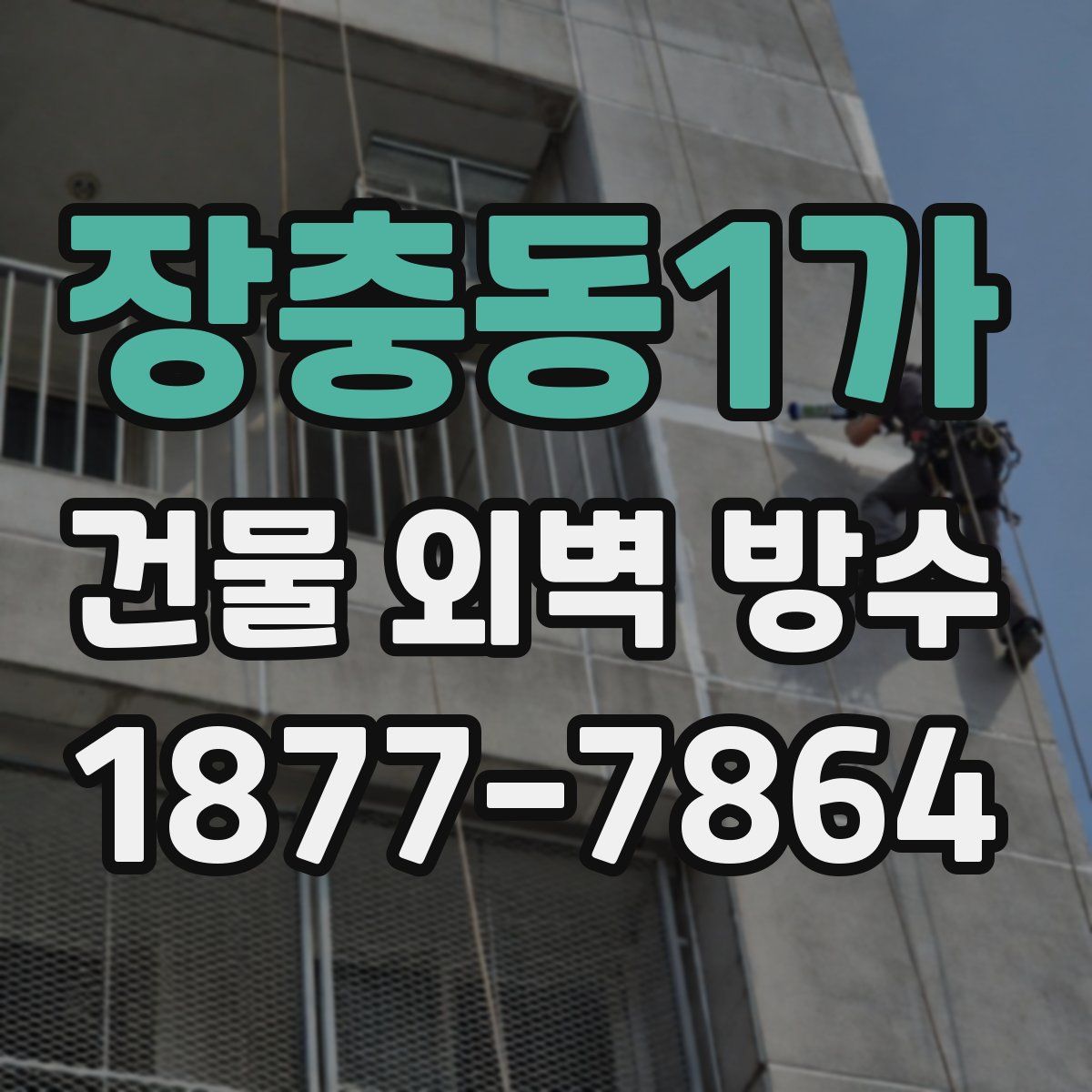 장충동1가 건물 외벽 방수