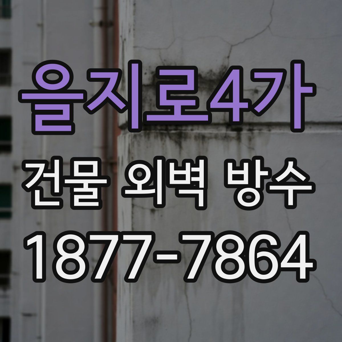 을지로4가 건물 외벽 방수