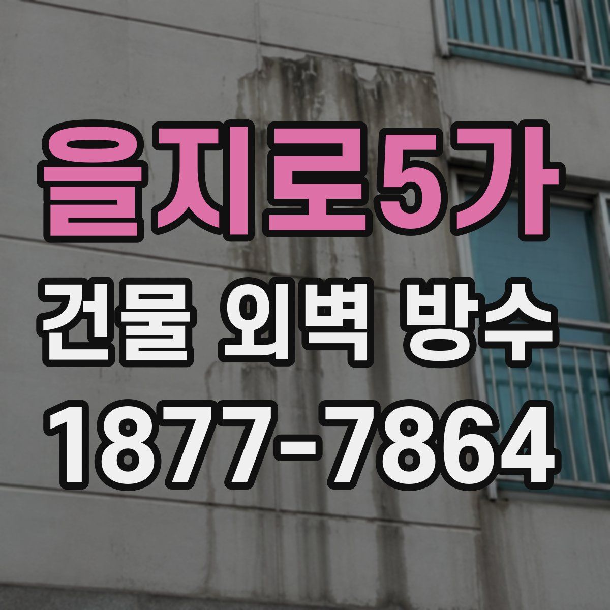 을지로5가 건물 외벽 방수