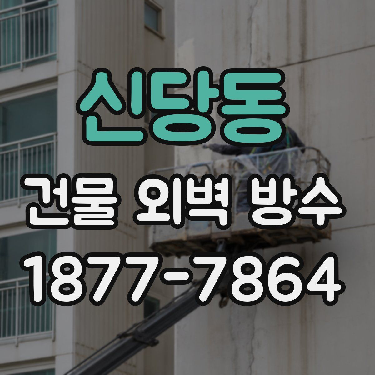 신당동 건물 외벽 방수