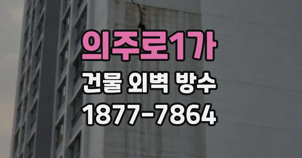 의주로1가 건물 외벽 방수