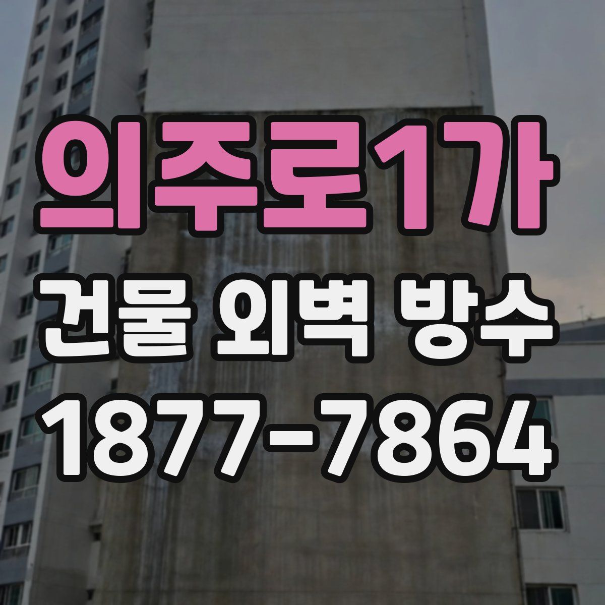 의주로1가 건물 외벽 방수
