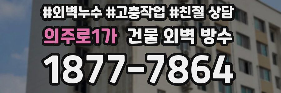 의주로1가 건물 외벽 방수