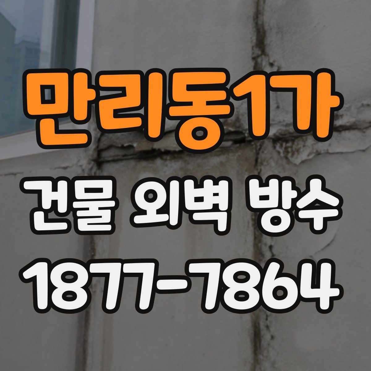 만리동1가 건물 외벽 방수