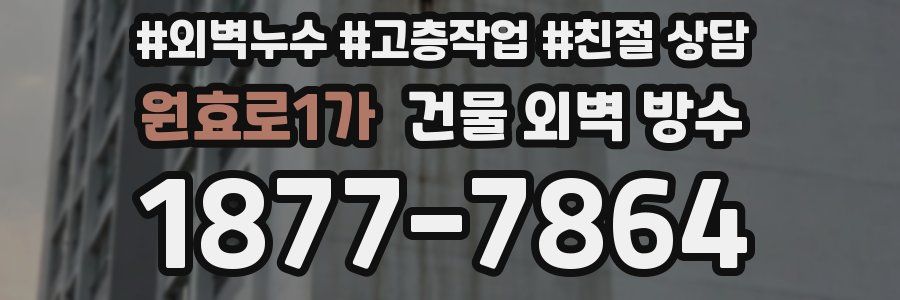 원효로1가 건물 외벽 방수