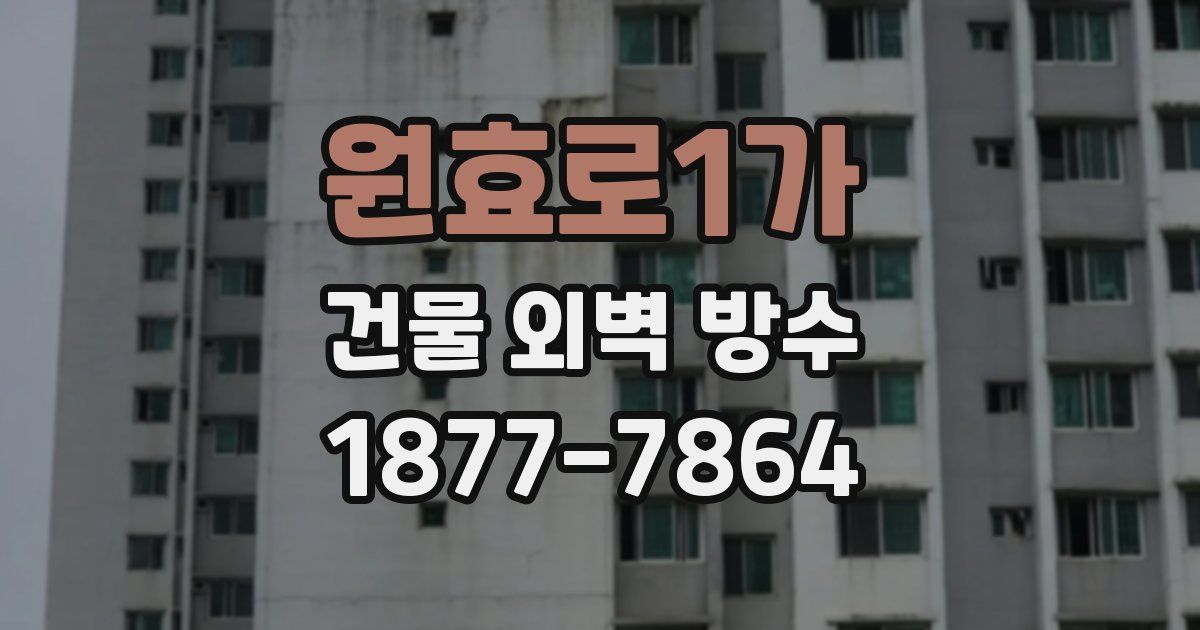원효로1가 건물 외벽 방수
