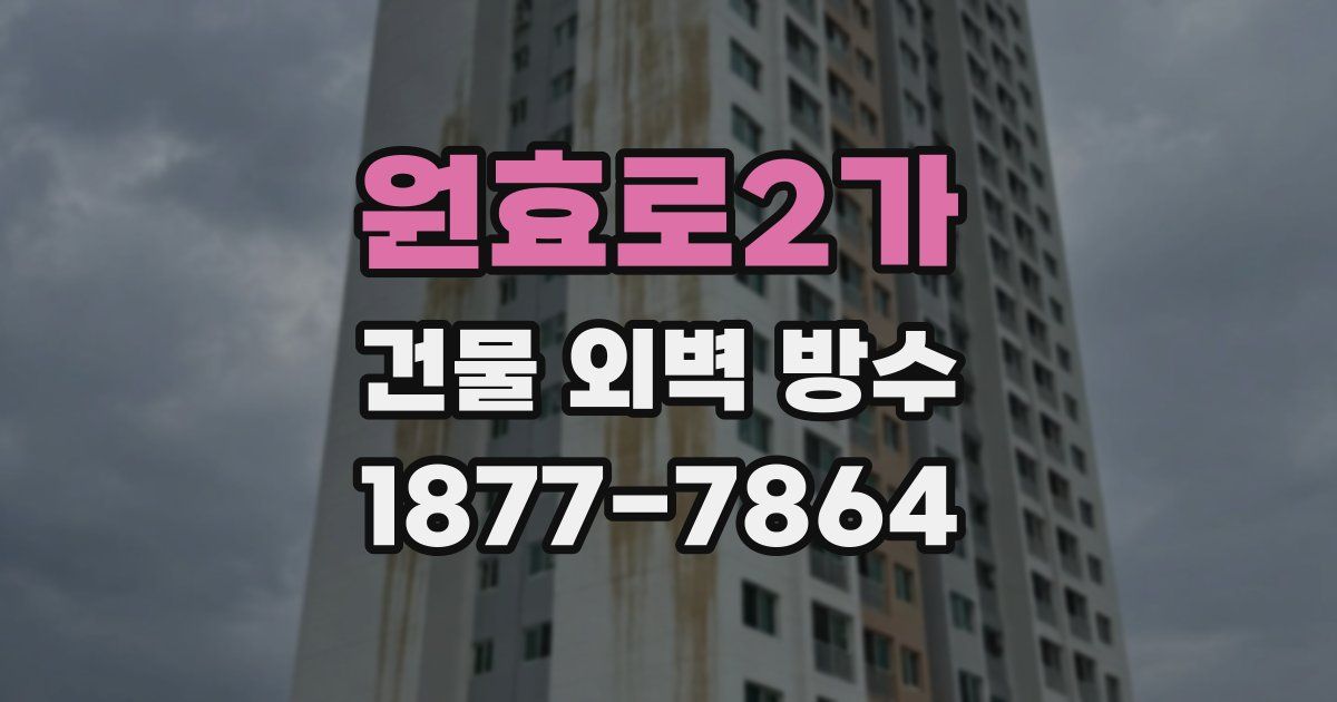 원효로2가 건물 외벽 방수