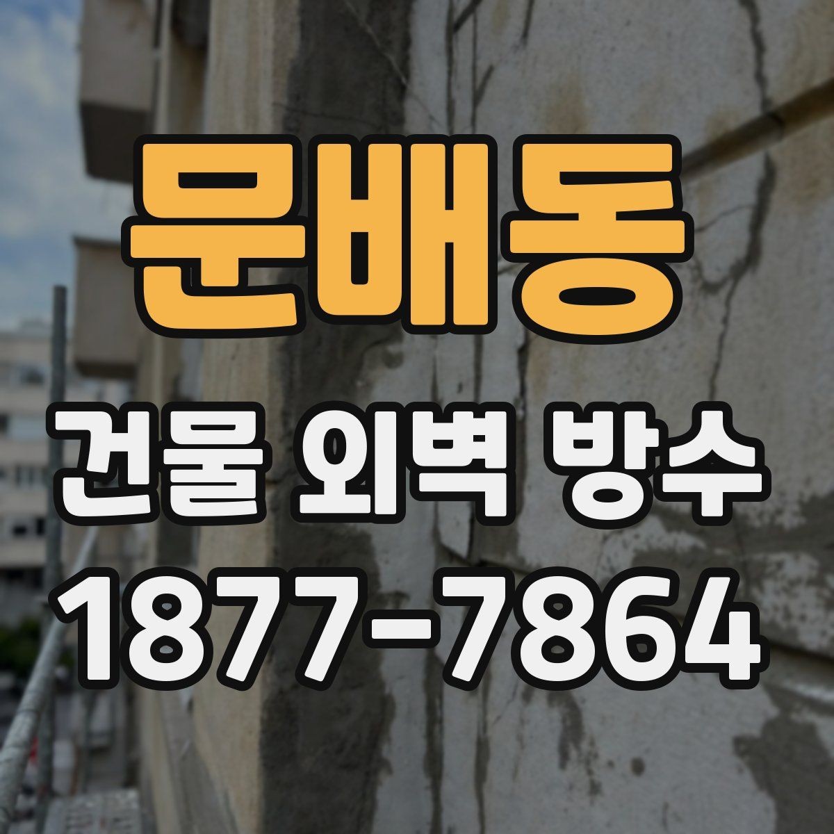 문배동 건물 외벽 방수 시공 전 상태 진단이 먼저인 이유
