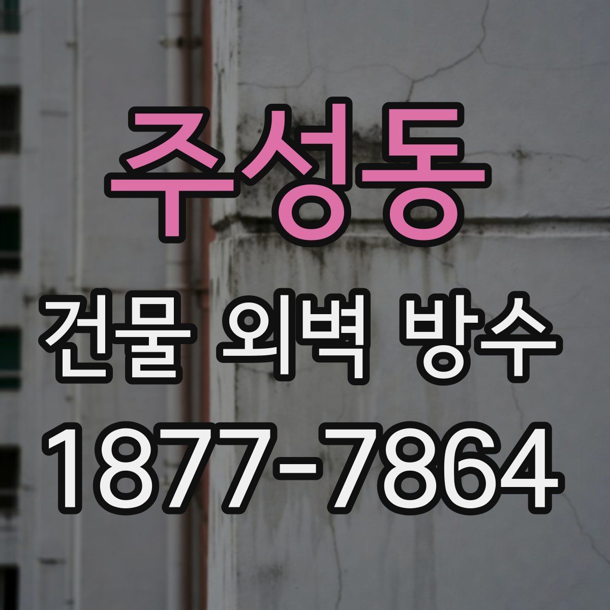 주성동 건물 외벽 방수