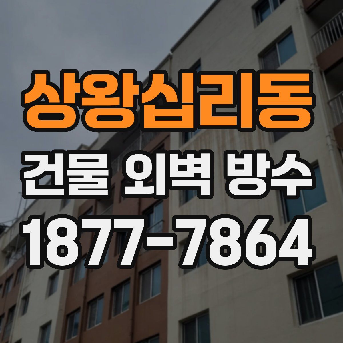 상왕십리동 건물 외벽 방수