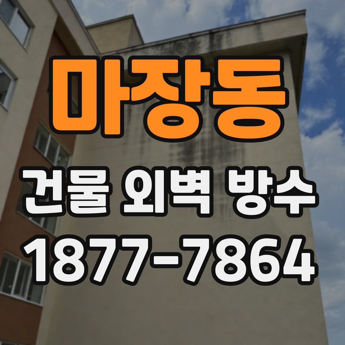 마장동 건물 외벽 방수