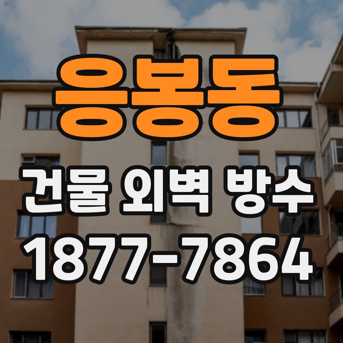 응봉동 건물 외벽 방수
