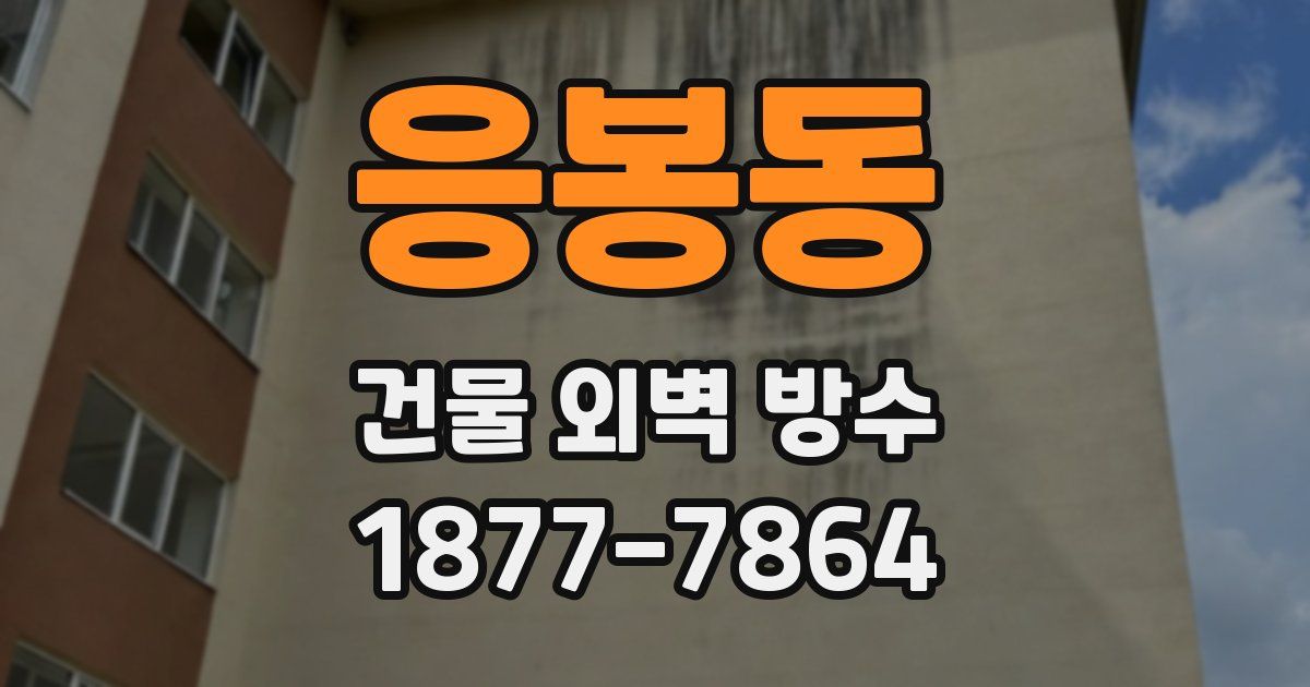 응봉동 건물 외벽 방수