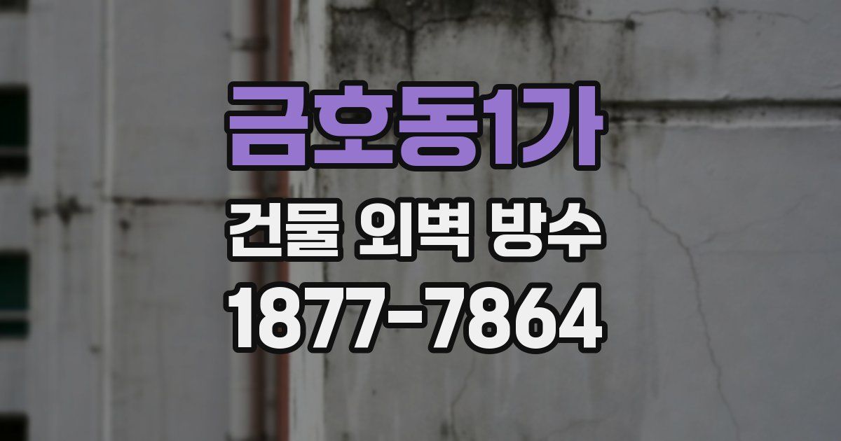 금호동1가 건물 외벽 방수