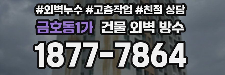 금호동1가 건물 외벽 방수