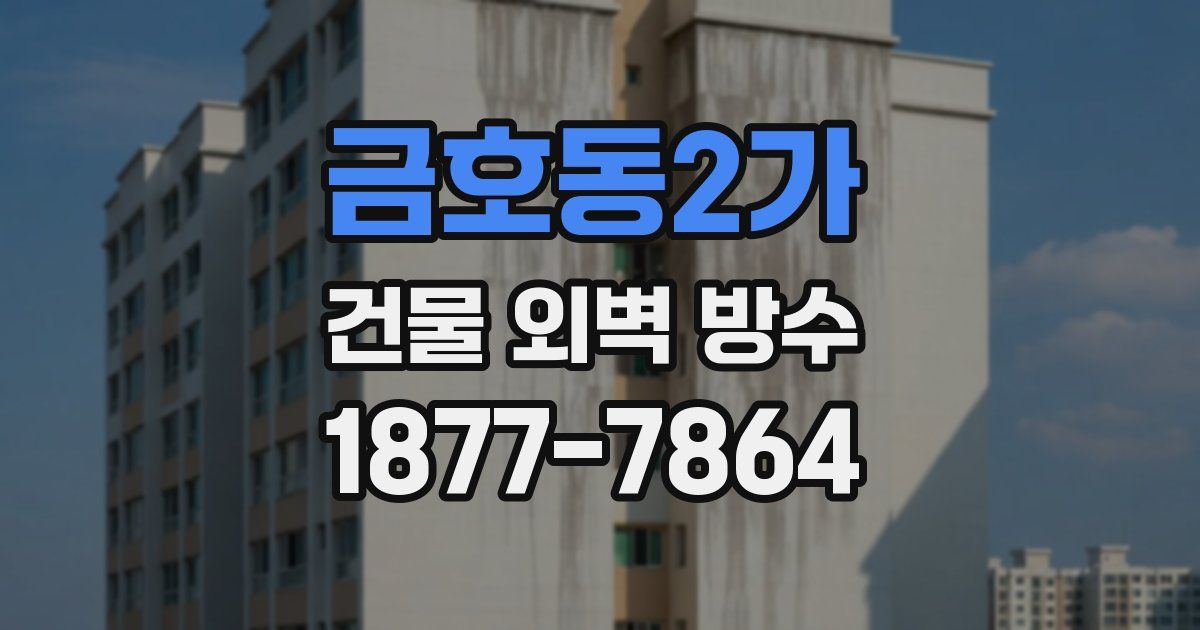 금호동2가 건물 외벽 방수