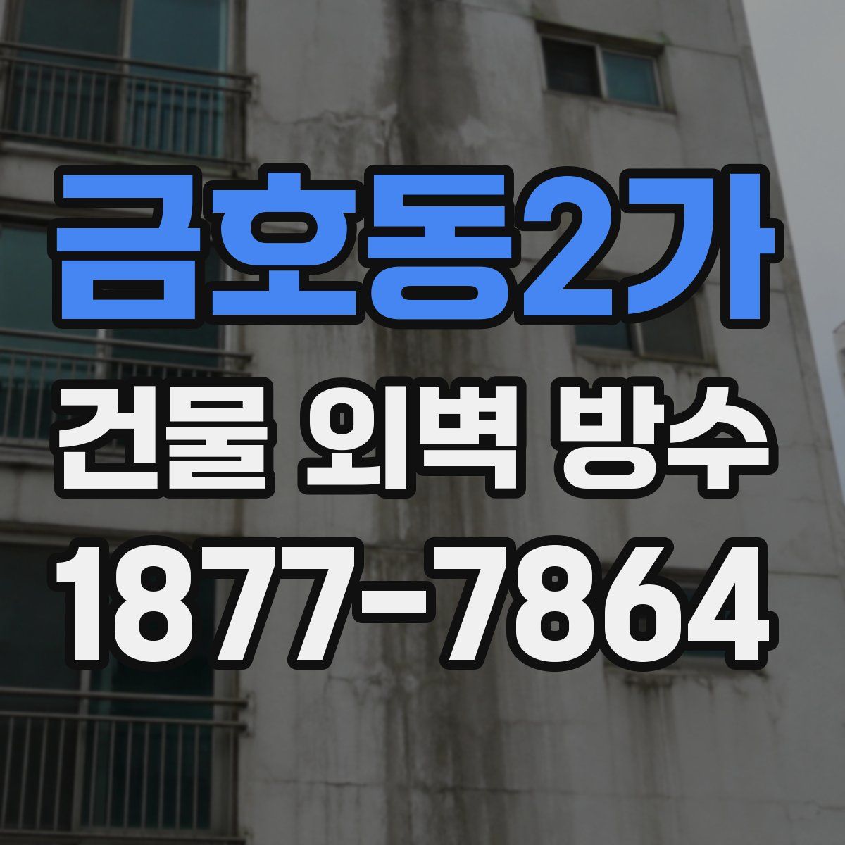 금호동2가 건물 외벽 방수