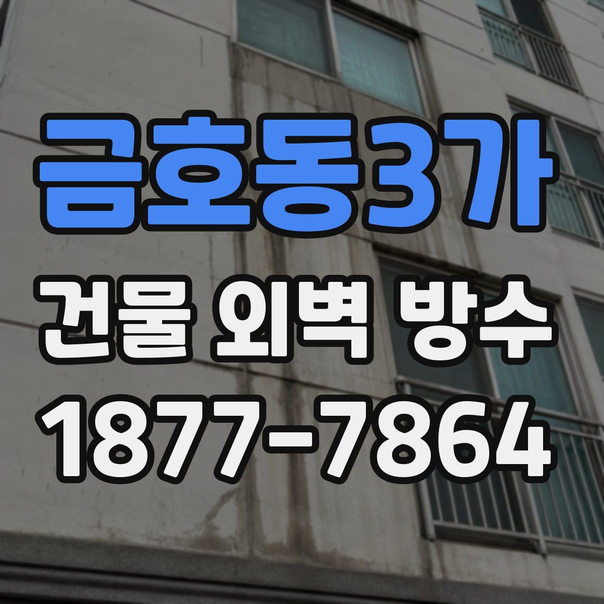 금호동3가 건물 외벽 방수