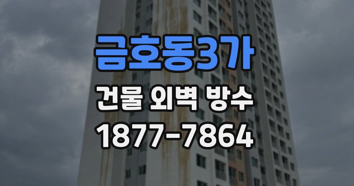 금호동3가 건물 외벽 방수
