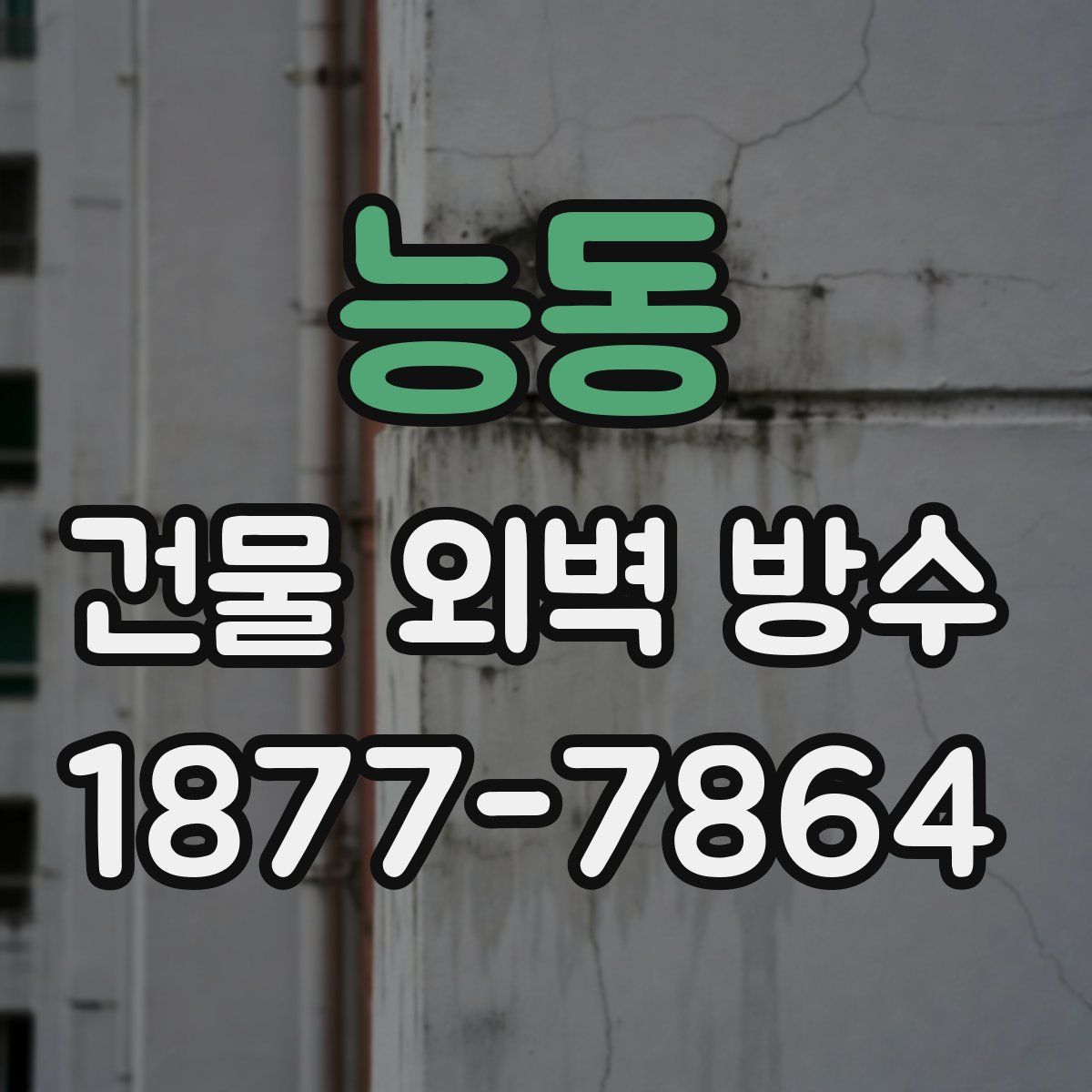 능동 건물 외벽 방수