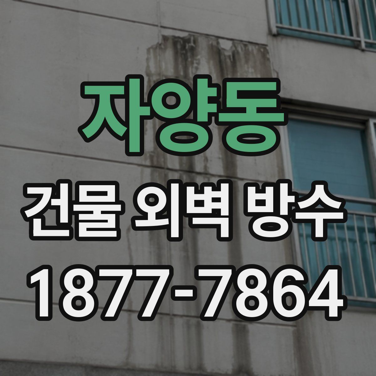 자양동 건물 외벽 방수