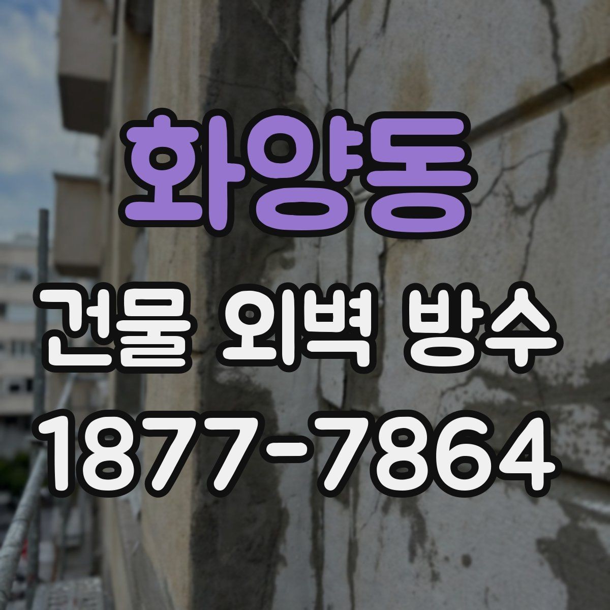 화양동 건물 외벽 방수 자재 선택 시 환경을 고려하는 이유