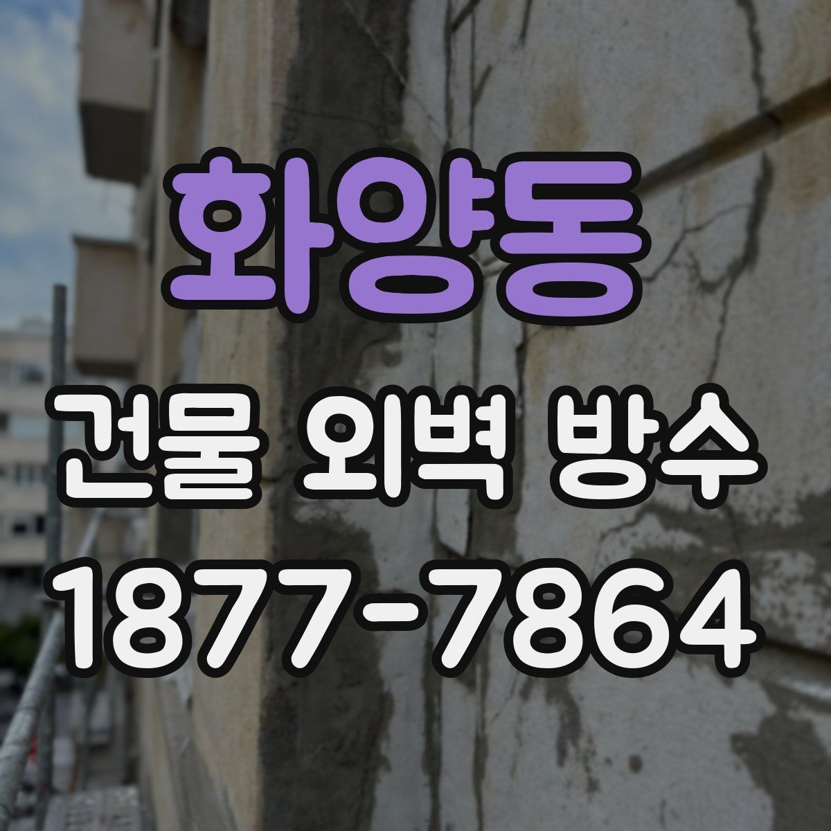 화양동 건물 외벽 방수
