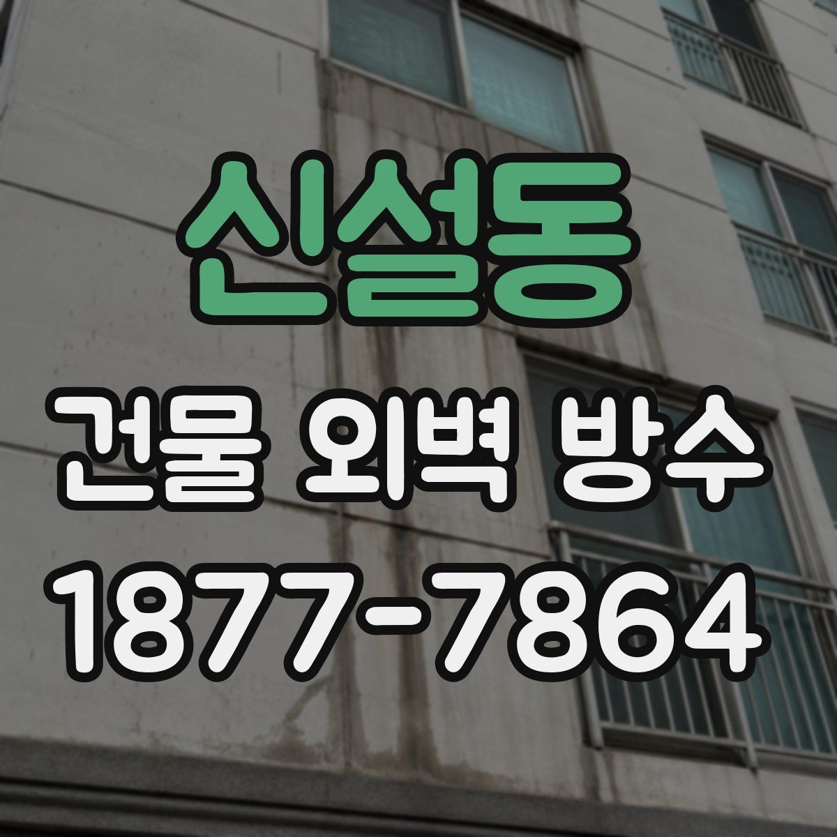 신설동 건물 외벽 방수