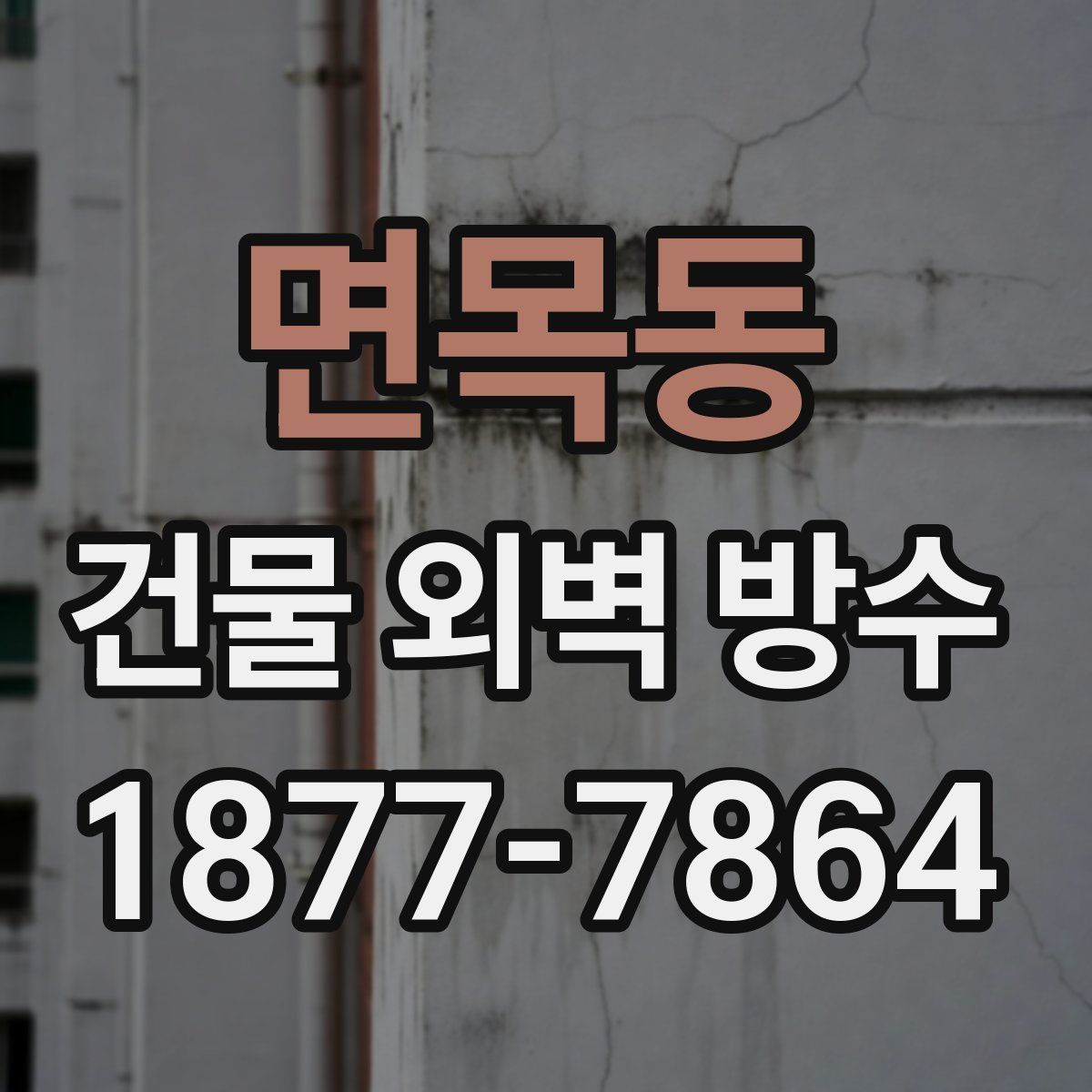면목동 건물 외벽 방수
